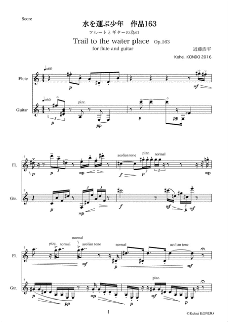 Trail to the water place Op.163 Duet for Flute and Guitar image number null
