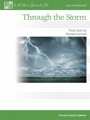 Book cover for Through the Storm