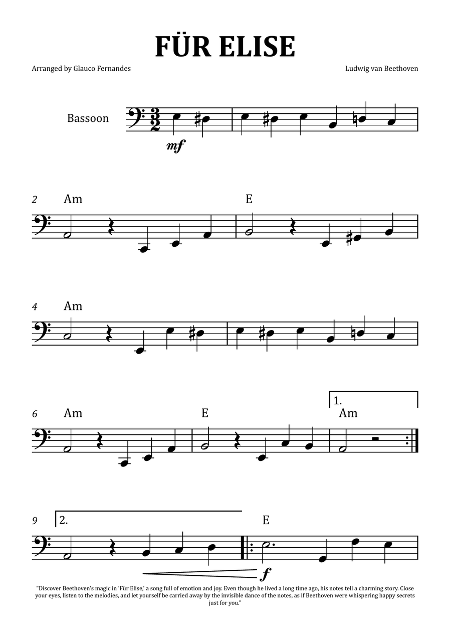 Beethoven bassoon shop