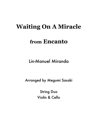 Book cover for Waiting On A Miracle