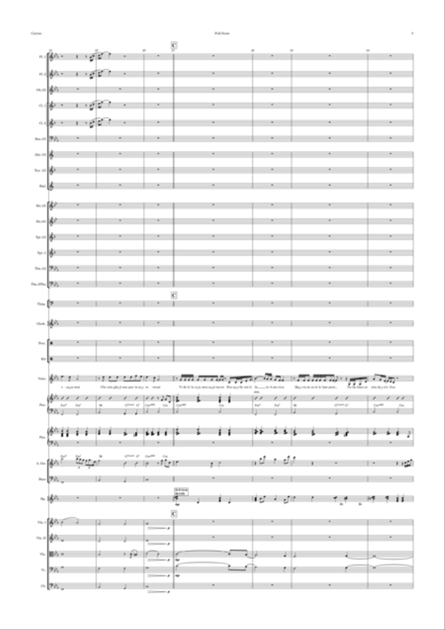 Caruso Full Orchestra scores gallery preview page 3