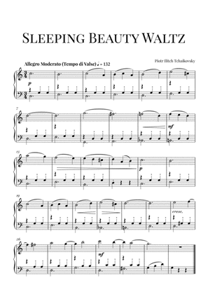 Book cover for Tchaikovsky: Sleeping Beauty Waltz (Easy Piano)