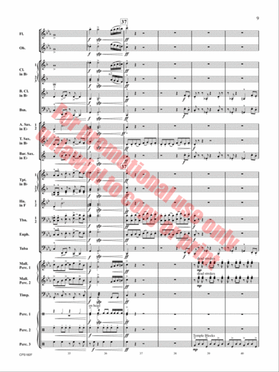 Ghost Run Ghost Run Concert Band scores gallery preview page 10
