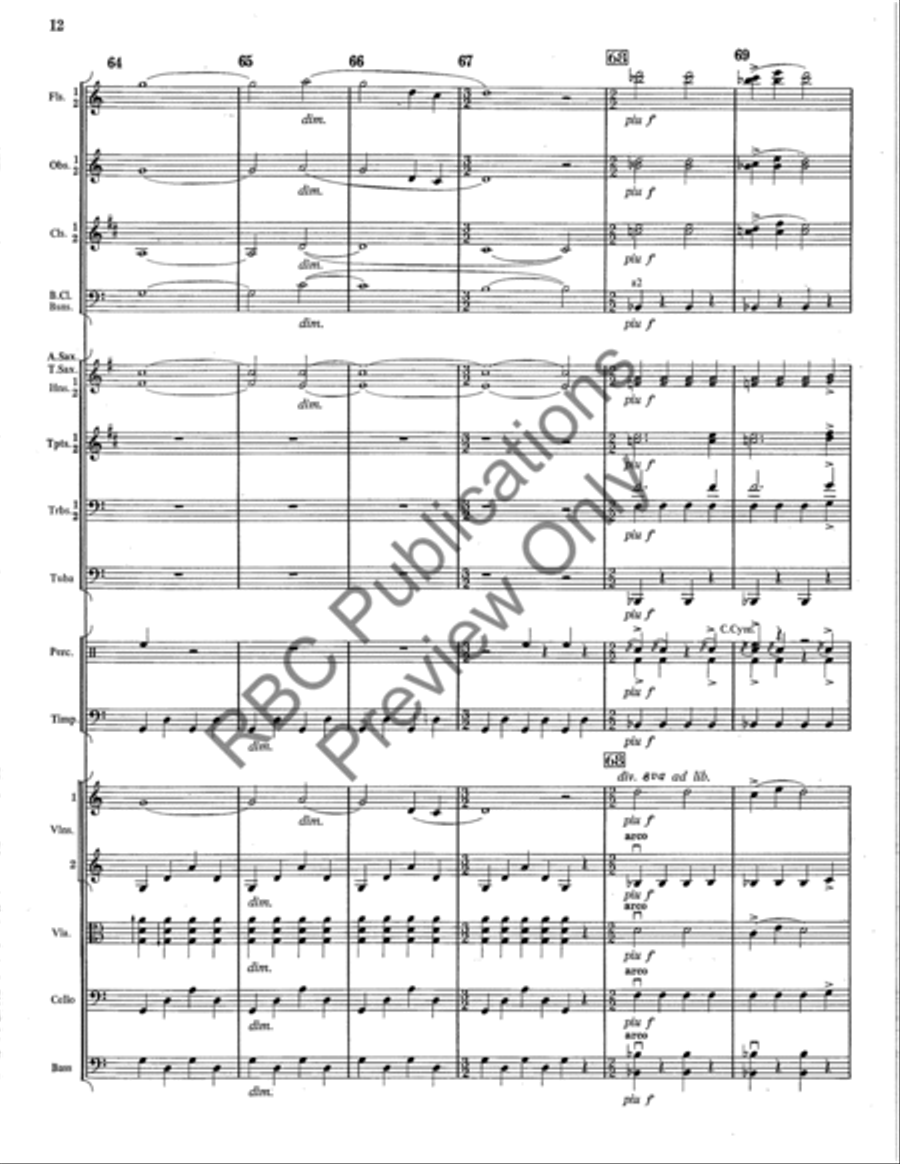 Peasant Suite Full Orchestra scores gallery preview page 13