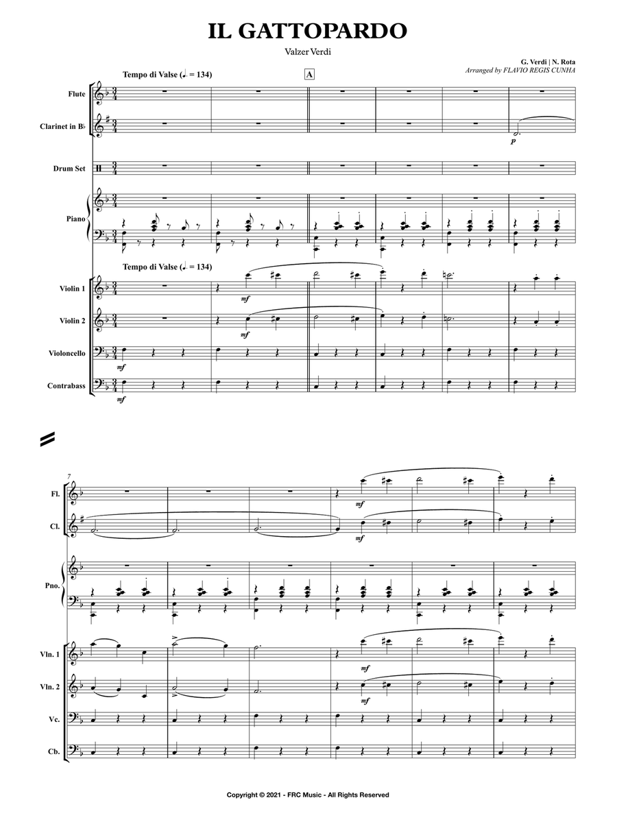 Il Gattopardo (Leopard) for Flute, Clarinet in Bb and String Orchestra Chamber Orchestra scores gallery preview page 3