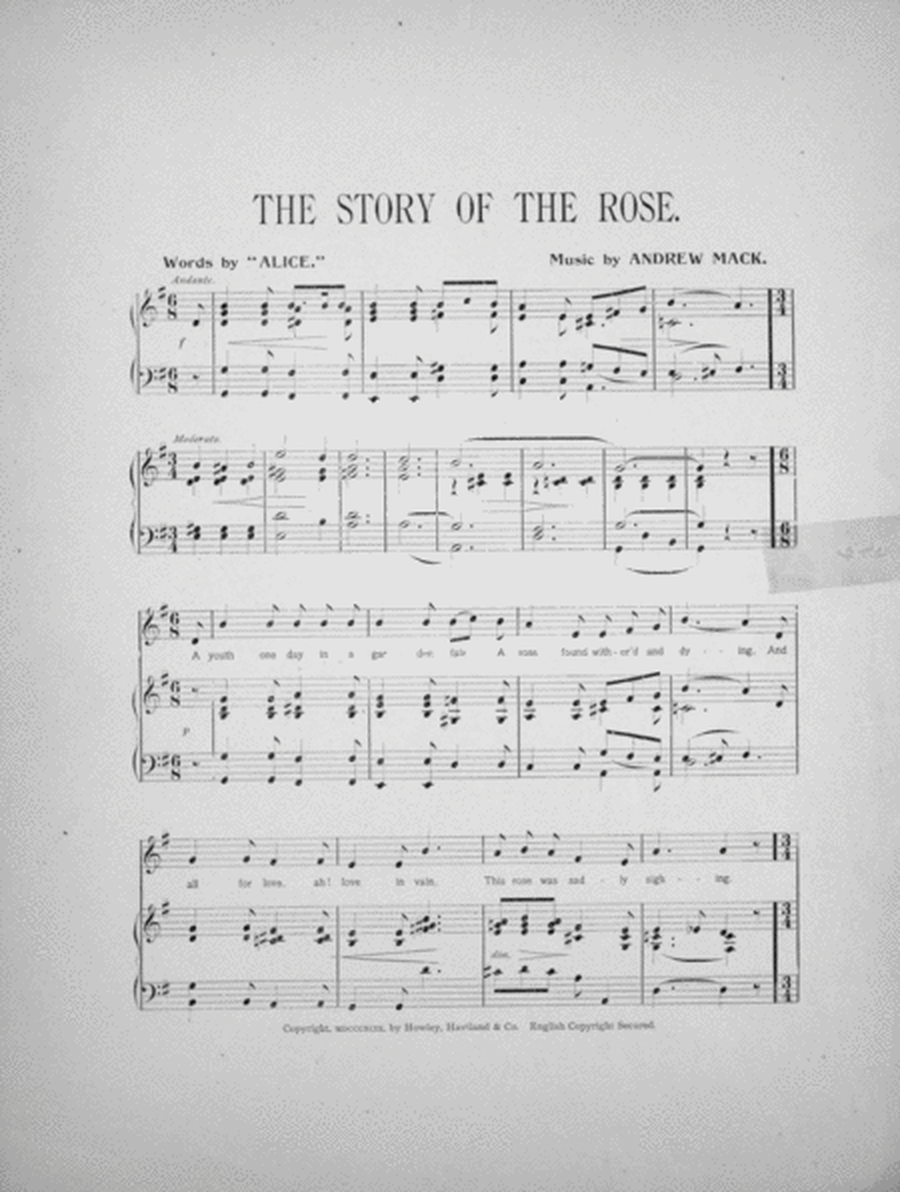Andrew Mack's Songs. The Story of the Rose