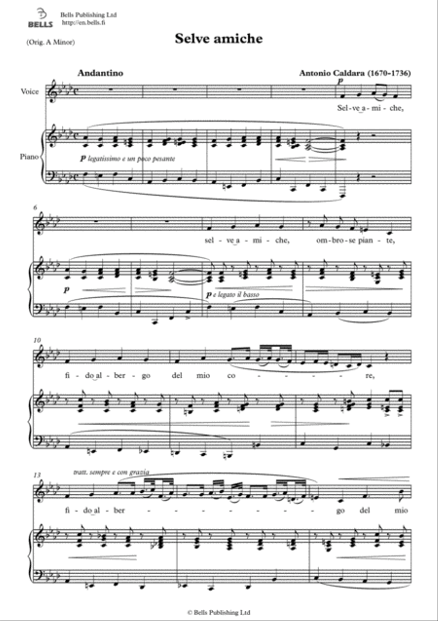 Selve amiche (F minor) Voice Solo scores gallery preview page 1