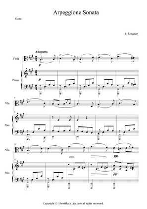 Book cover for Sonata per Arpeggione, D.821 III. Allegretto