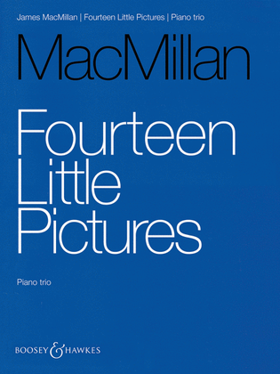 Book cover for 14 Little Pictures