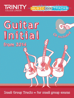 Book cover for Small Group Tracks: Initial Track Guitar