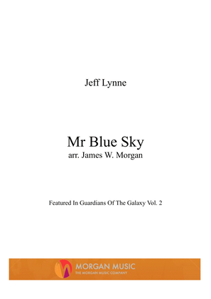 Book cover for Mr. Blue Sky