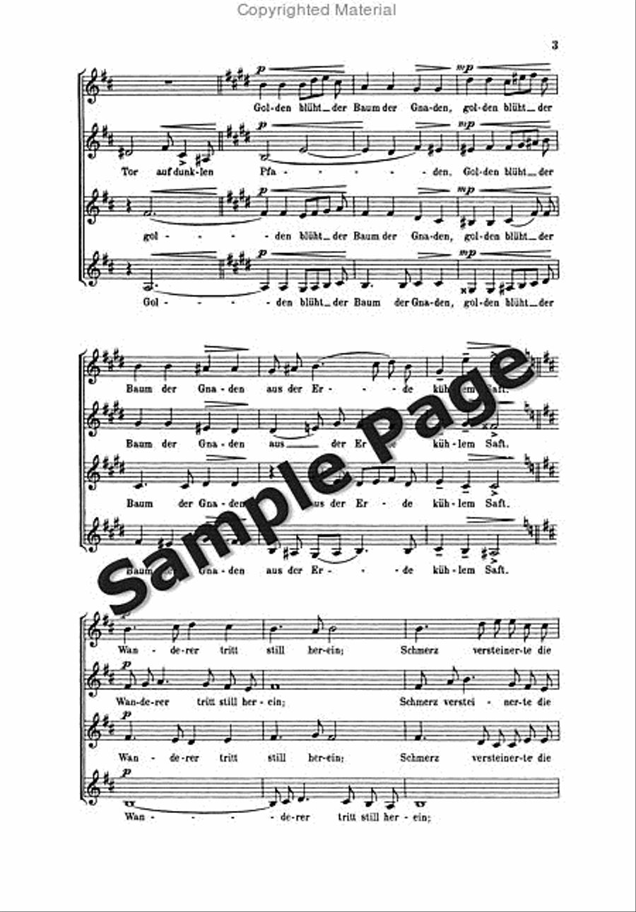Knab A Ein Winterabend SSAA scores gallery preview page 4