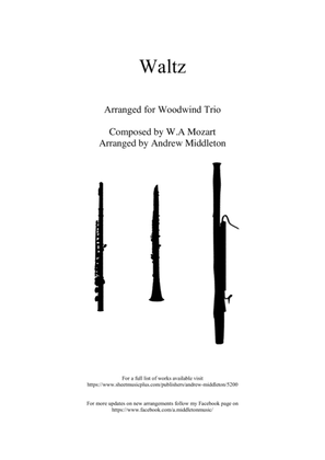 Book cover for Waltz arranged for Woodwind Trio