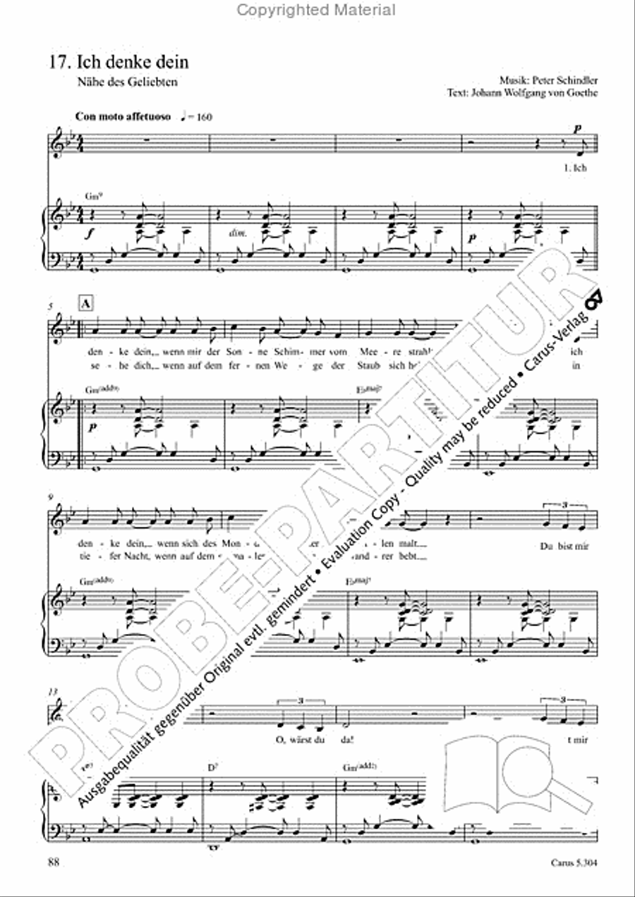 Schindler: Rosenzeit. Ein Liederzyklus uber die Liebe. Chansons fur Singstimme und Klavier Piano scores gallery preview page 89
