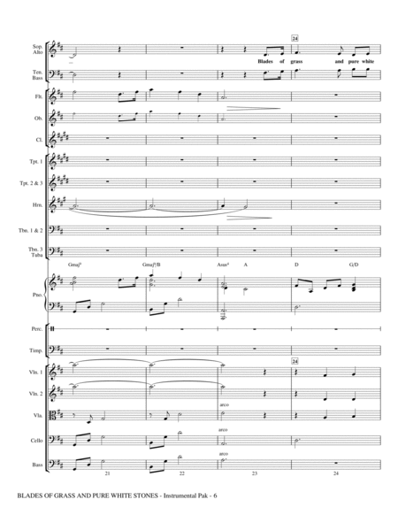 Blades Of Grass And Pure White Stones - Full Score image number null
