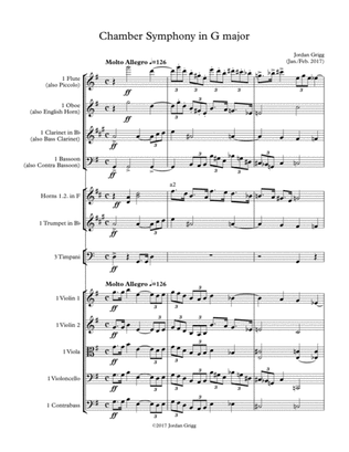 Book cover for Chamber Symphony in G major-Score and Parts