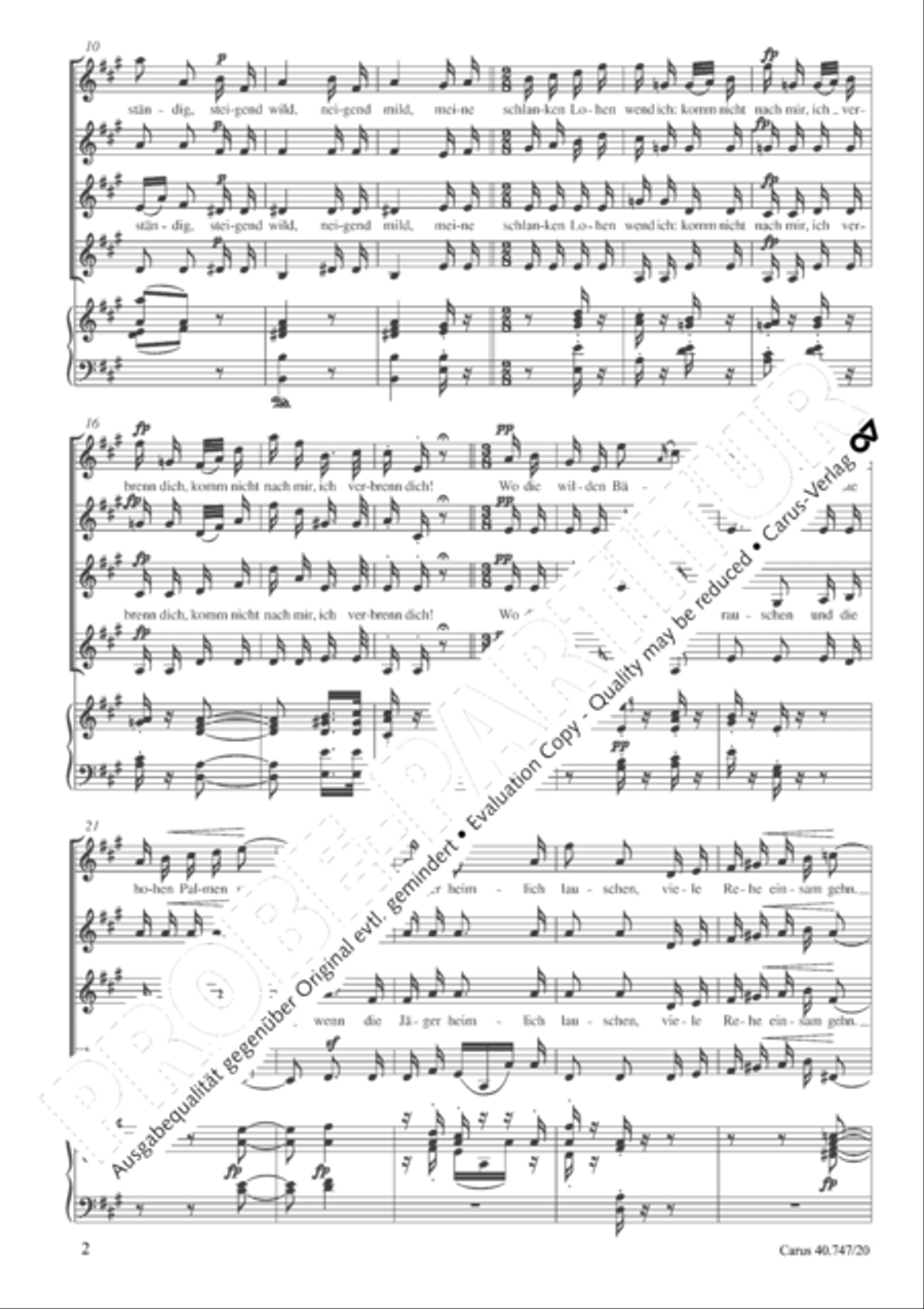 Waldmadchen Waldmadchen SSAA scores gallery preview page 3