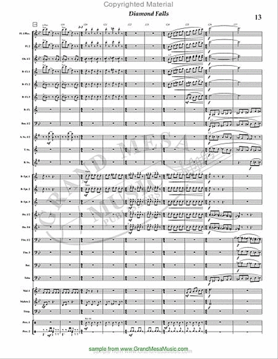 Diamond Falls Diamond Falls Concert Band scores gallery preview page 14