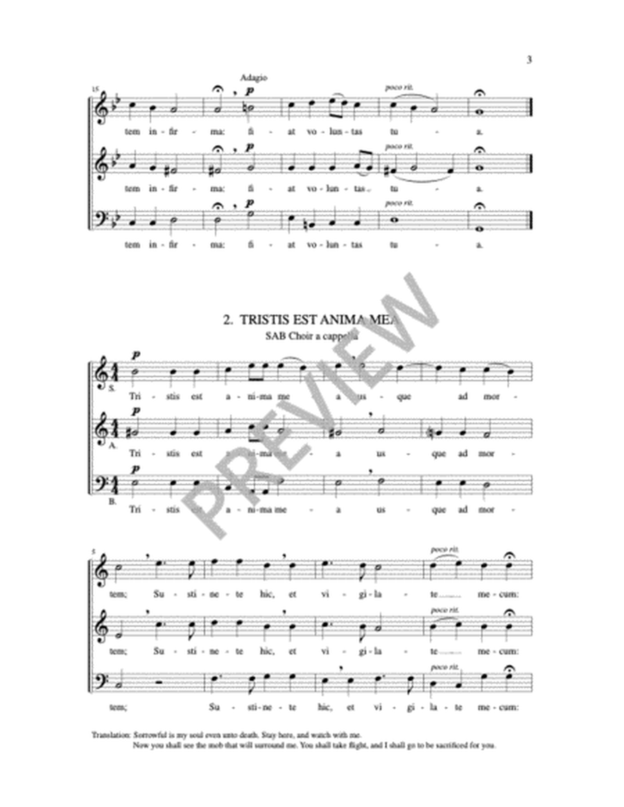 Two Anthems for Holy Week image number null