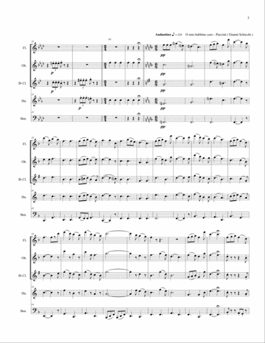 A Night at the Opera for Woodwind Quintet Woodwind Quintet scores gallery preview page 5