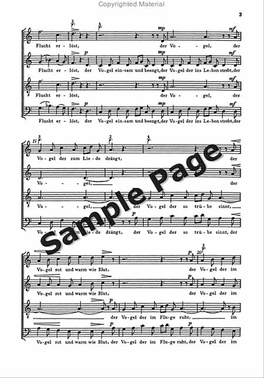 Birdcatcher's Song Birdcatcher's Song 4-Part scores gallery preview page 4