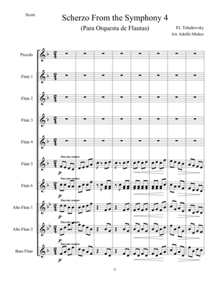 Scherzo From 4th Symphony ¨Pizzicato Ostinato¨ For Flute Orchestra