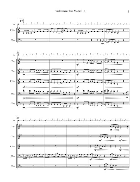 Wellerman - #SHANTYTOK for Brass Quintet image number null