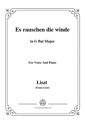 Book cover for Liszt-Es rauschen die winde in G flat Major,for Voice and Piano