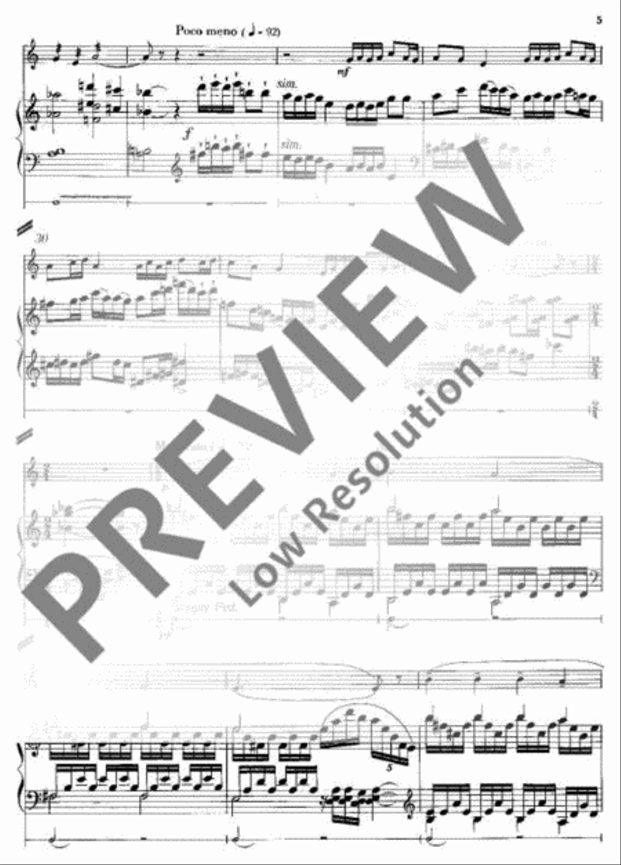 Suite Soprano Recorder scores gallery preview page 6