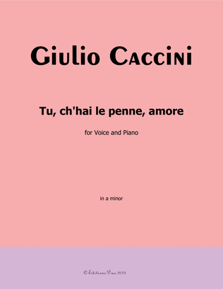 Tu, ch'hai le penne, Amore, by Giulio Caccini, in a minor