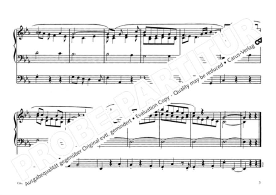 Morgenstern der finstern Nacht Organ scores gallery preview page 4