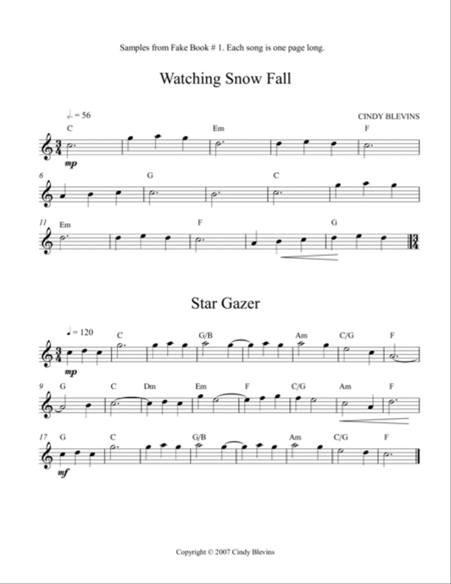Fake Book #1, 80 pages of melodies and chords for your harp! Celtic Harp scores gallery preview page 3