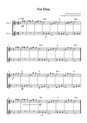 Book cover for Fur Elise (for 2 flutes)