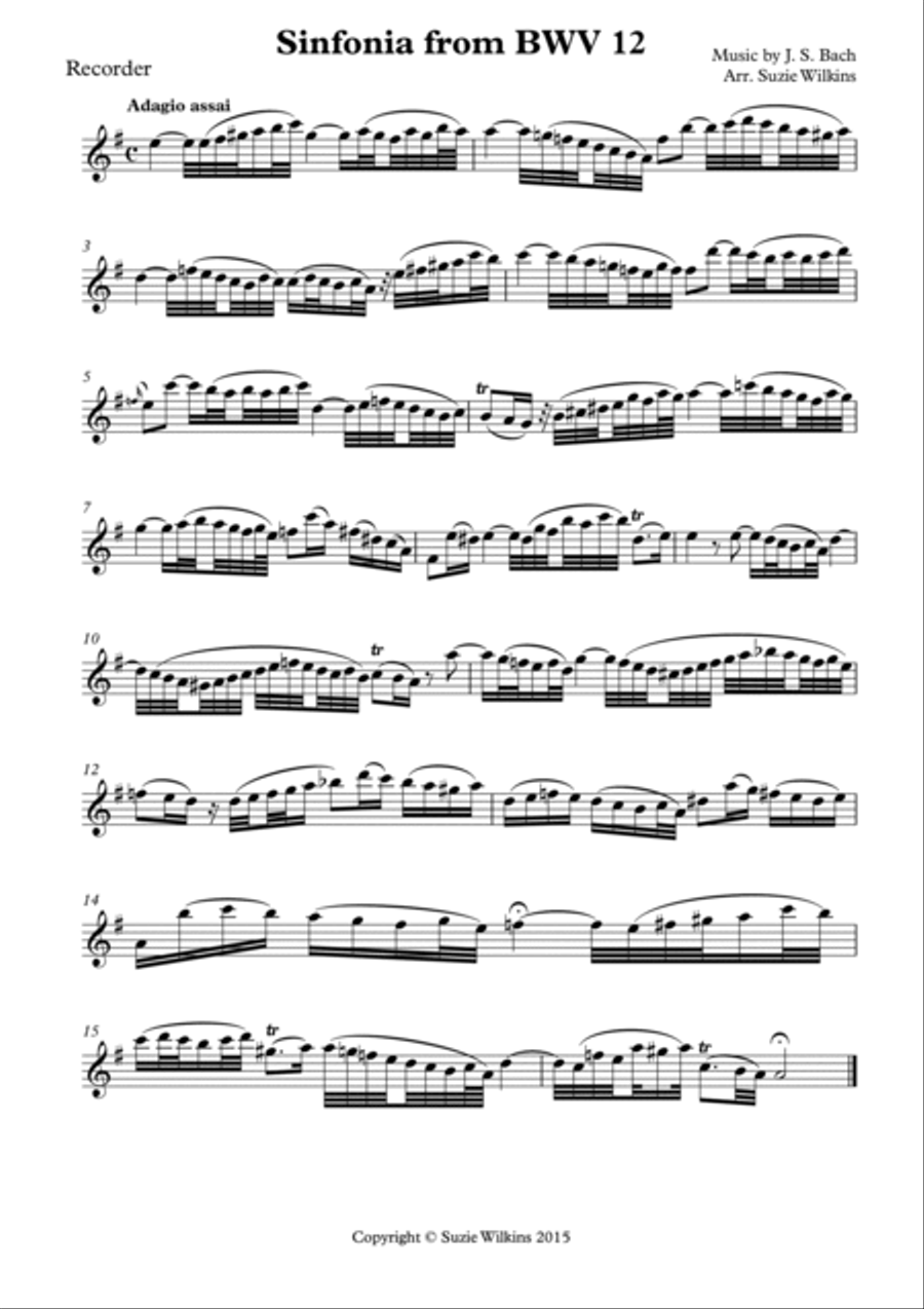 Sinfonia from Weinen, Klagen, Sorgen, Zagen (BWV 12) Woodwind Duet scores gallery preview page 2