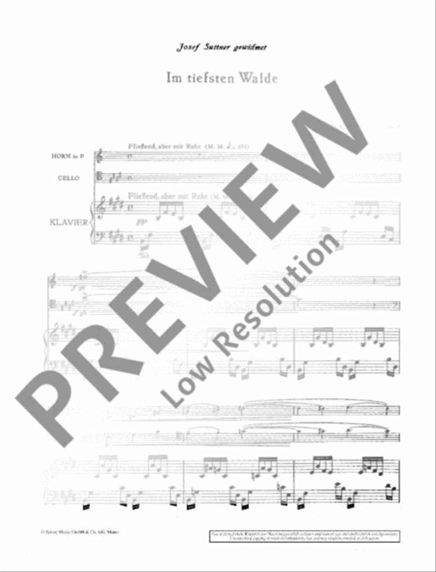 Im tiefsten Walde Im tiefsten Walde Piano Accompaniment scores gallery preview page 3