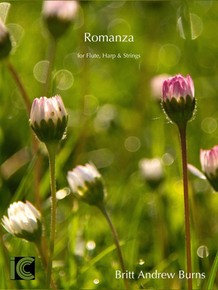 Book cover for Romanza - for Flute, Harp & String Orchestra