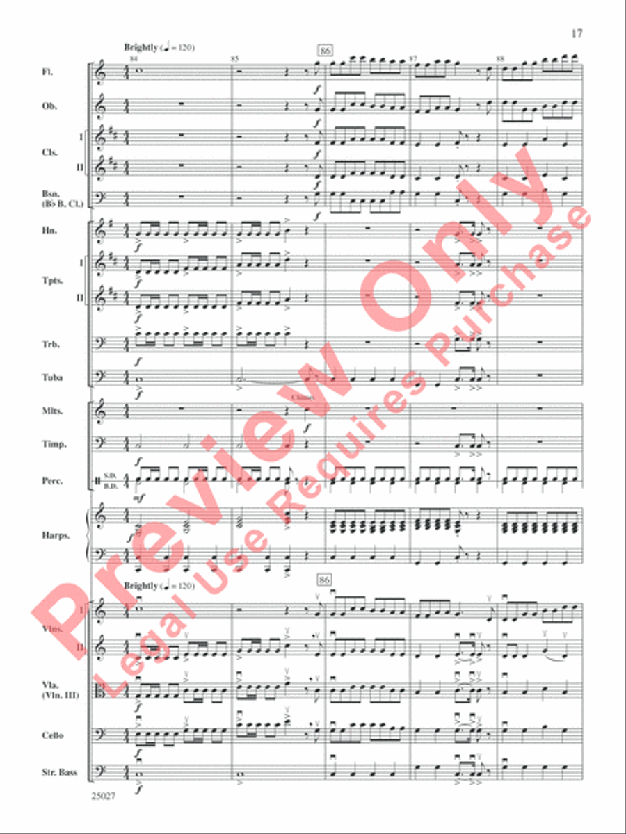 Selections form Tim Burton's Corpse Bride Full Orchestra scores gallery preview page 18