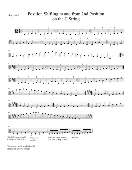First Studies for Position Shifting on the Viola