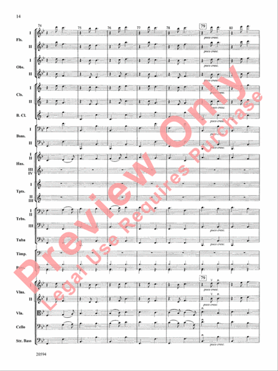 Symphony No. 9 (Fourth Movement) Full Orchestra scores gallery preview page 15
