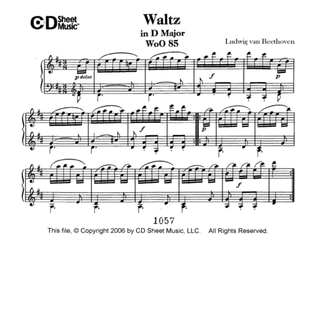 Waltz In D Major, Woo 85