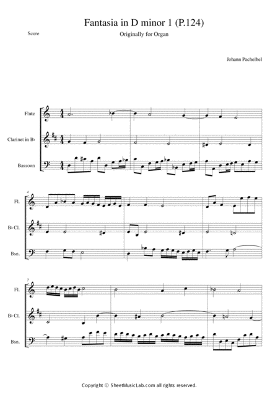 Fantasia in D minor 1 (P.124) Bassoon scores gallery preview page 1