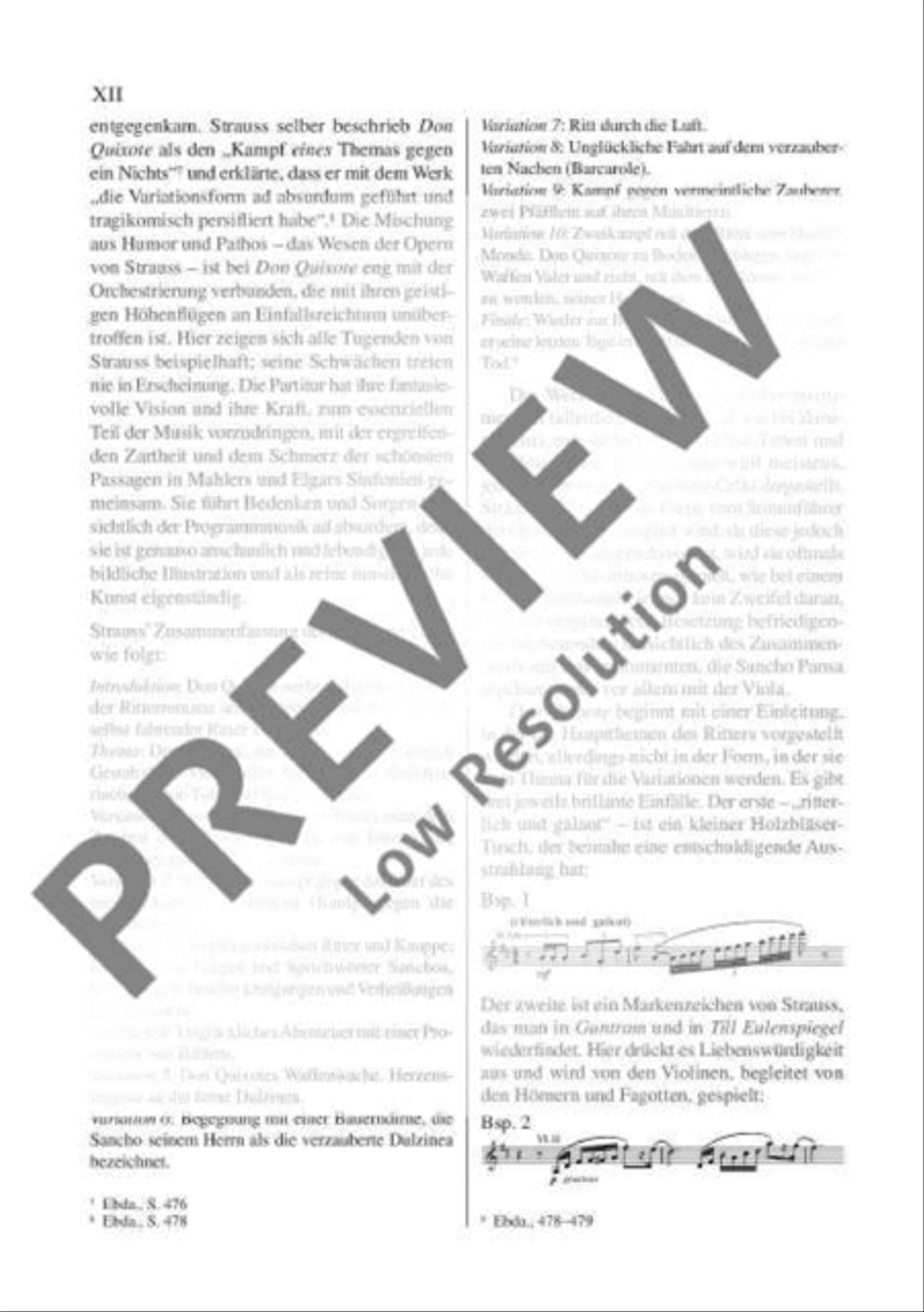 Don Quixote Orchestra scores gallery preview page 13