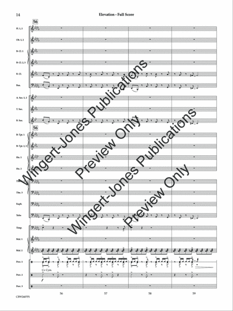 Elevation (Score) Concert Band scores gallery preview page 15
