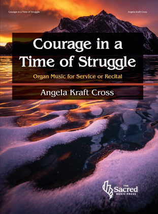 Book cover for Courage in a Time of Struggle