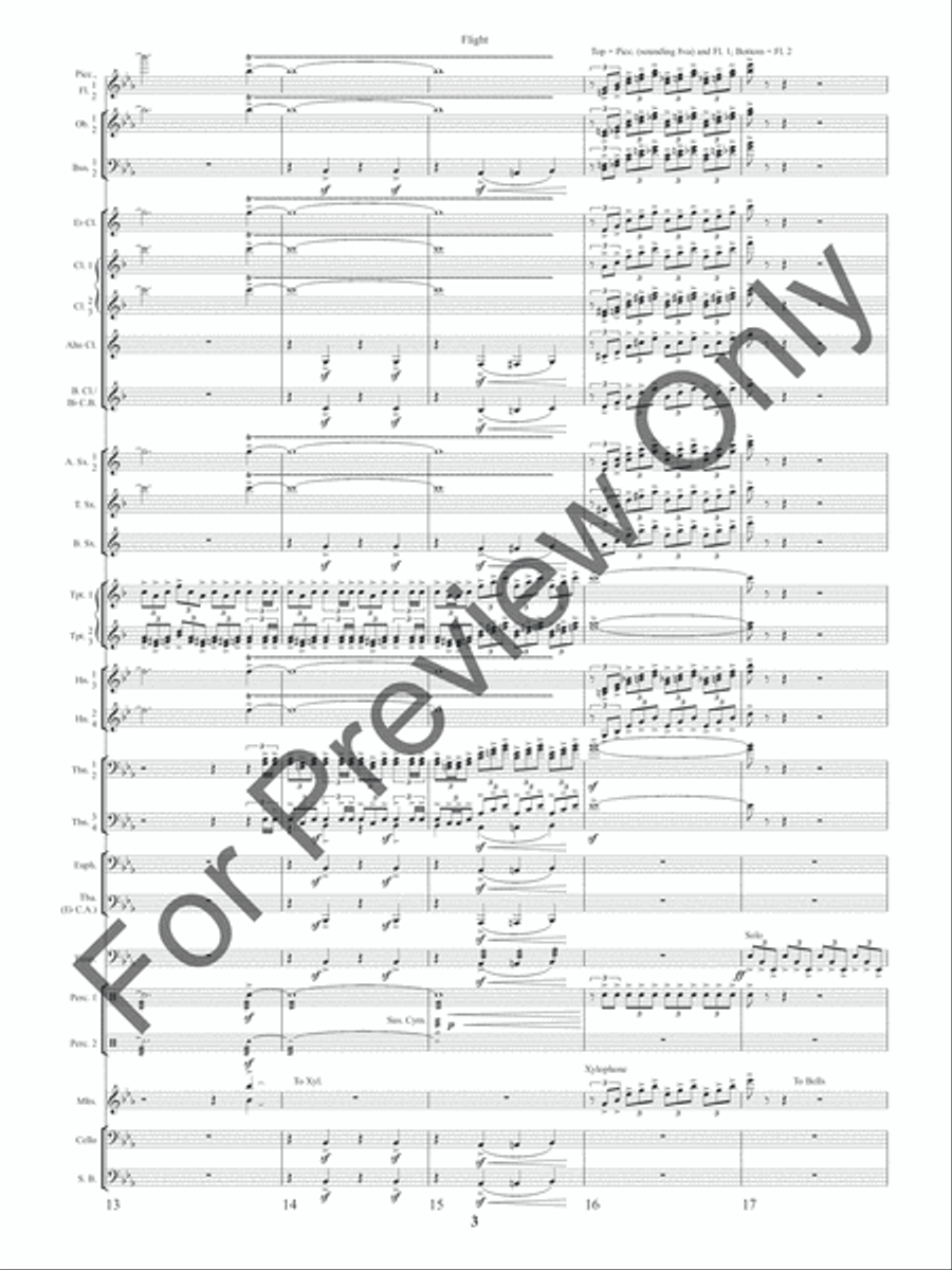 Flight (Score) Concert Band scores gallery preview page 6