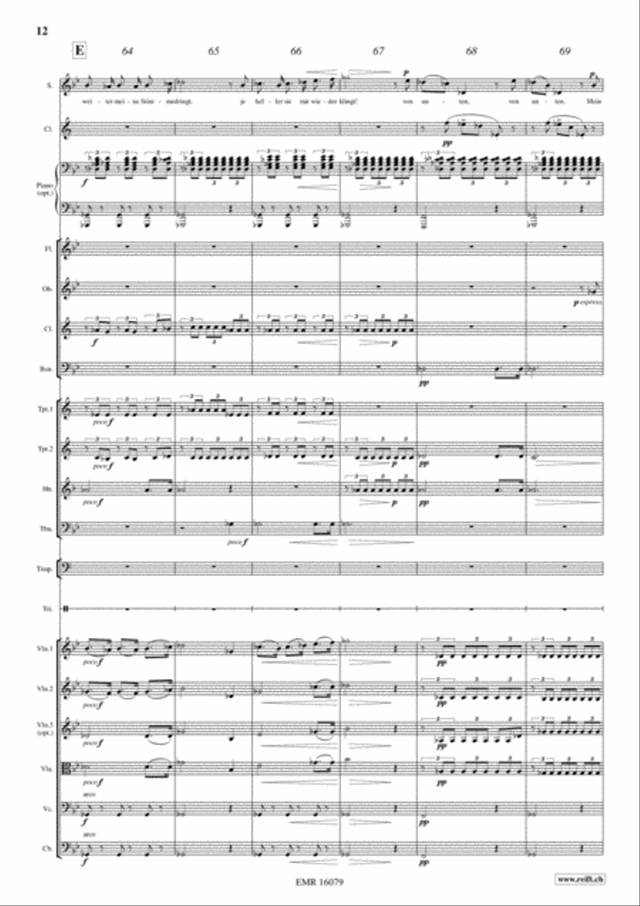 Der Hirt auf dem Felsen Der Hirt auf dem Felsen Orchestra scores gallery preview page 13