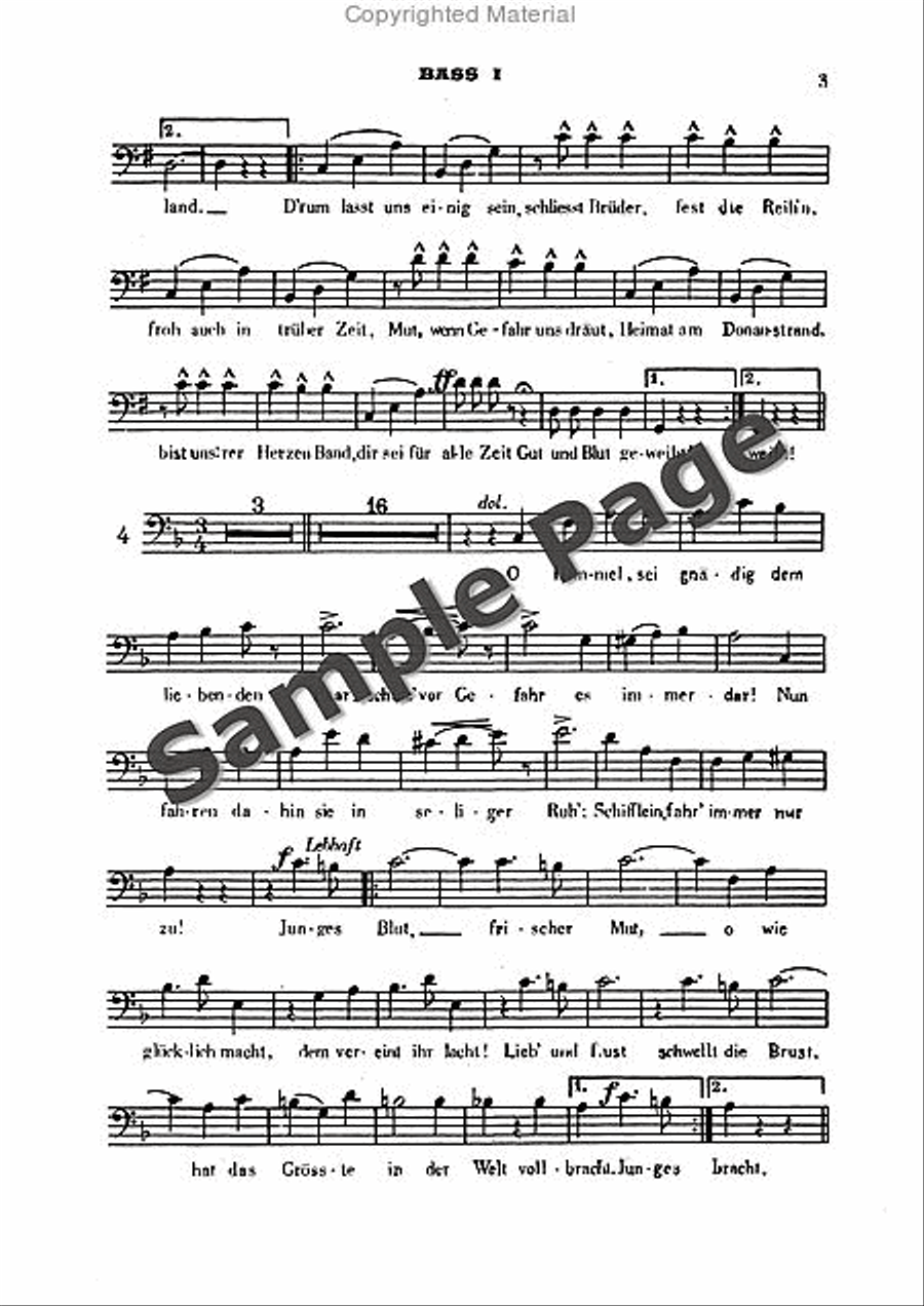 Strauss Donau Waltz Mch B1 TTBB scores gallery preview page 4