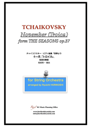 Book cover for Tchaikovsky: The Seasons Op37 No.11 November (Troica)