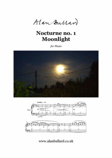 Nocturne no.1 - Moonlight (solo piano) image number null