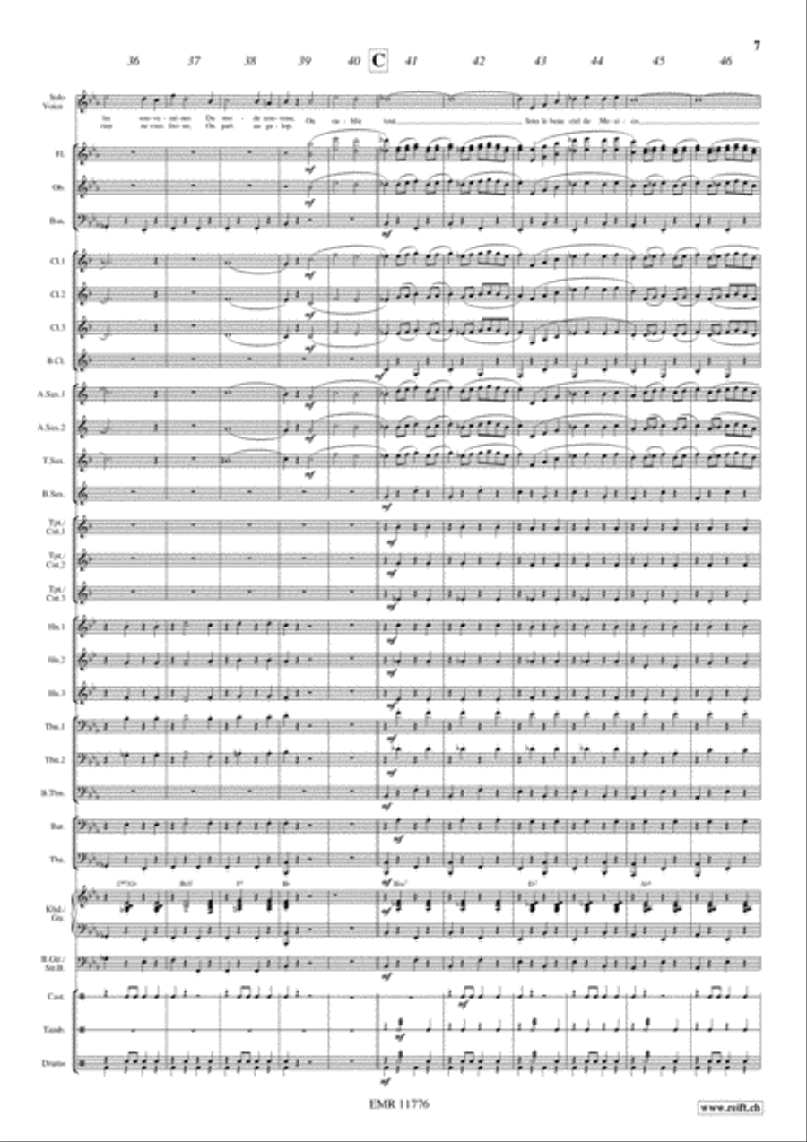 Le Chanteur de Mexico Concert Band scores gallery preview page 8